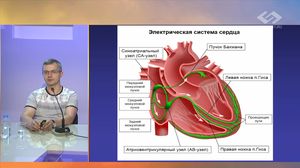 Анализ сердечного ритма