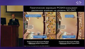 Контроль над холестерином для спасения сердца. Вчера, сегодня, завтра