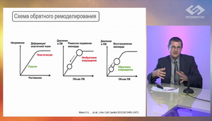 Новости доказательной кардиологии