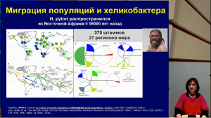 Эпидемиология хеликобактерной инфекции: кого и чем лечить?