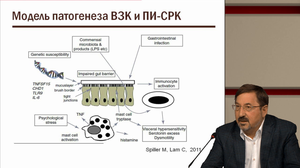 Гастроэнтерология