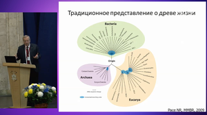 Медицинское, социальное и экономическое бремя инфекций в современном мире