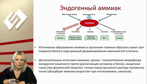 LII Всероссийская Образовательная Интернет Сессия для врачей. СИМПОЗИУМ ПО ГАСТРОЭНТЕРОЛОГИИ