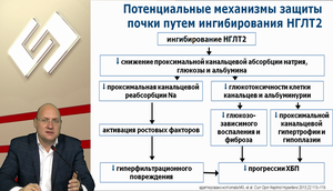 Обзор программы 77-ой научной сессии Американской диабетической ассоциации (ADA)