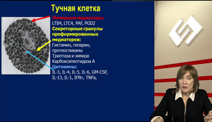 Синдром активации тучной клетки и анафилаксия