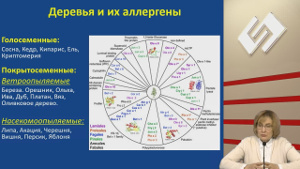 Аллергический сезонный ринит. Дефект барьерной функции слизистой носа и методы коррекции