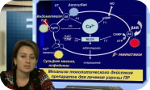 Терапия угрозы прерывания беременности на разных сроках