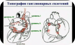 XXXVIII Всероссийская Образовательная Интернет Сессия для врачей. День 2