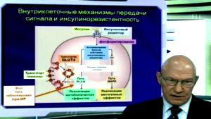 Что первично: НАЖБП или инсулинорезистентность?