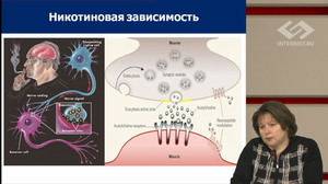 V Международный Интернет Конгресс специалистов по внутренним болезням. День 3. Секция ВНУТРЕННИЕ БОЛЕЗНИ