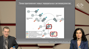 Новости доказательной кардиологии