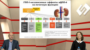 Микрососудистые осложнения СД. Взгляд на почку, диалог с экспертом