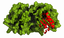 Раннее ингибирование PCSK9 при ОИМ