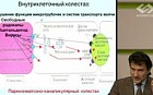 Дифференцированный подход в лечении гепатопротекторами