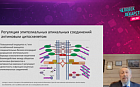 Повышенная эпителиальная проницаемость – новая научная парадигма в медицине. От патофизиологии к клинике