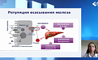 Современные аспекты диагностики и лечения железодефицитных состояний у беременных