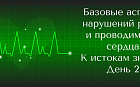 Базовые аспекты нарушений ритма и проводимости сердца. К истокам знаний. День 2. 