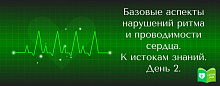 Базовые аспекты нарушений ритма и проводимости сердца. К истокам знаний. День 2. 