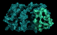 Первый пероральный ингибитор PCSK9