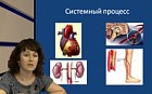 Истоки болезни: субклинический атеросклероз