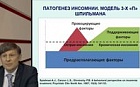 Современная модель инсомнии (модель 3-х П) и основанные на ней методы лечения