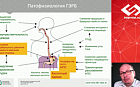 От патогенеза к практическим аспектам ведения больного ГЭРБ